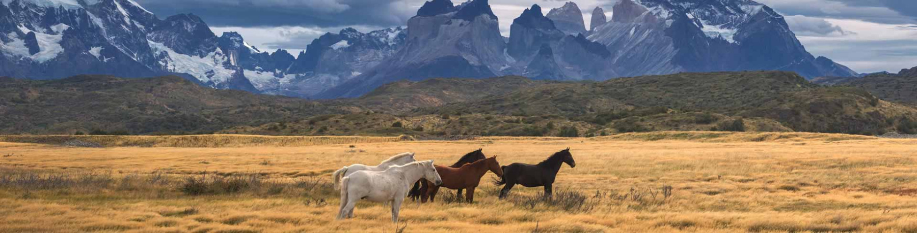 Rundreisen und besondere Angebote