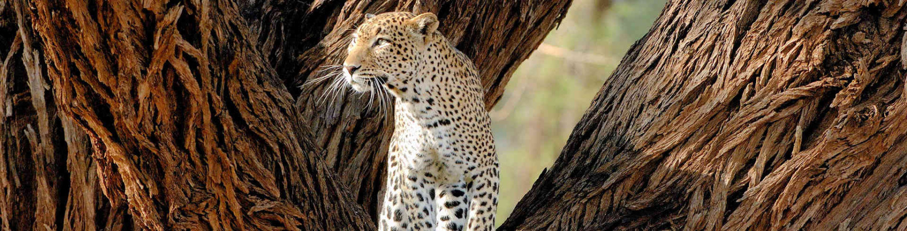 Rundreisen und Safaris