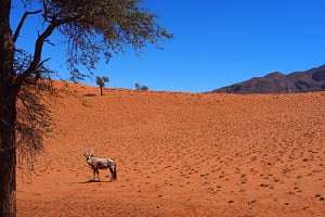 Ausflüge und Tagestouren