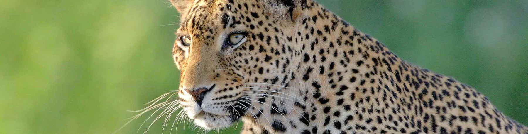 Rundreisen und Safaris