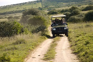 Rundreisen und Safaris