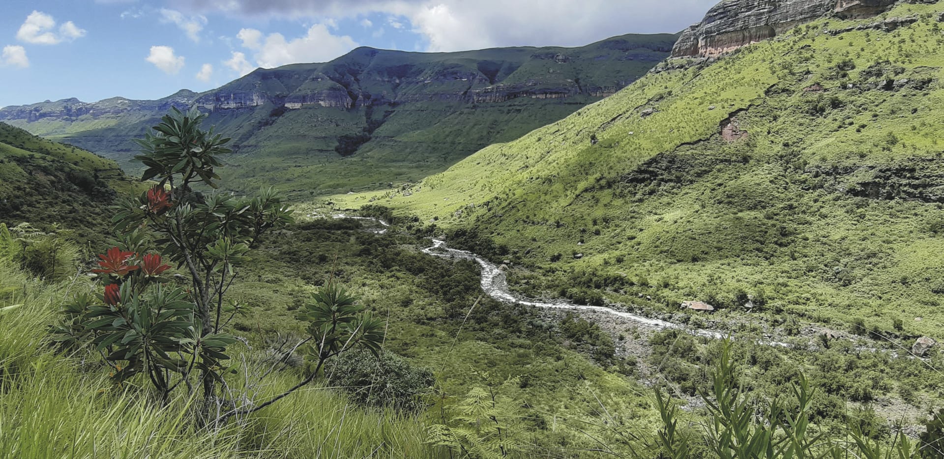 100002-RSA_KZN_20200723_AD