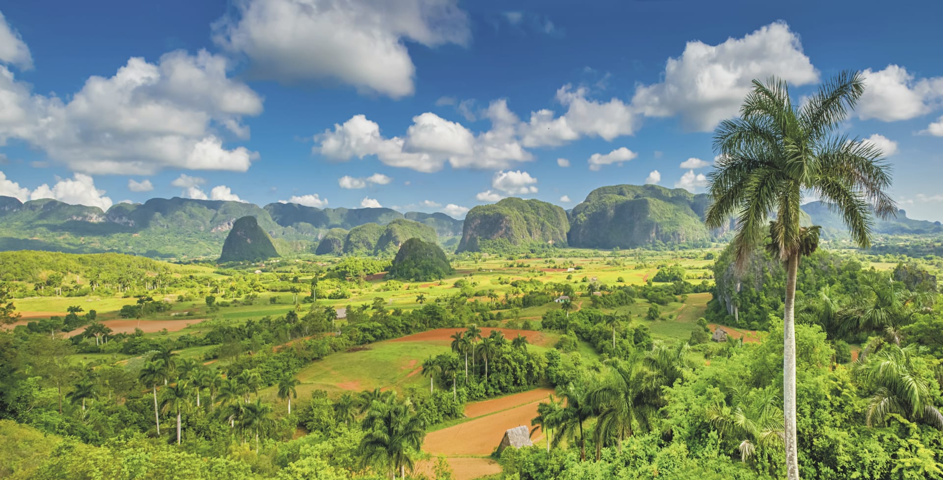 102180-SAM_KUB_20210713_SK_4