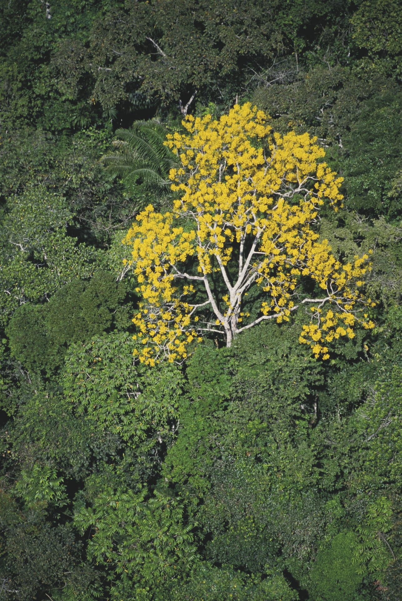 102996-SAM_PA_20211123_NH