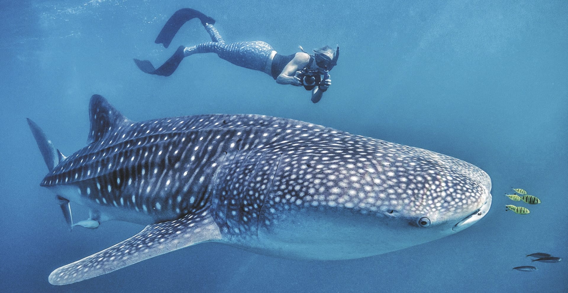 103189-SAM_MEX_20211203_CSA_19