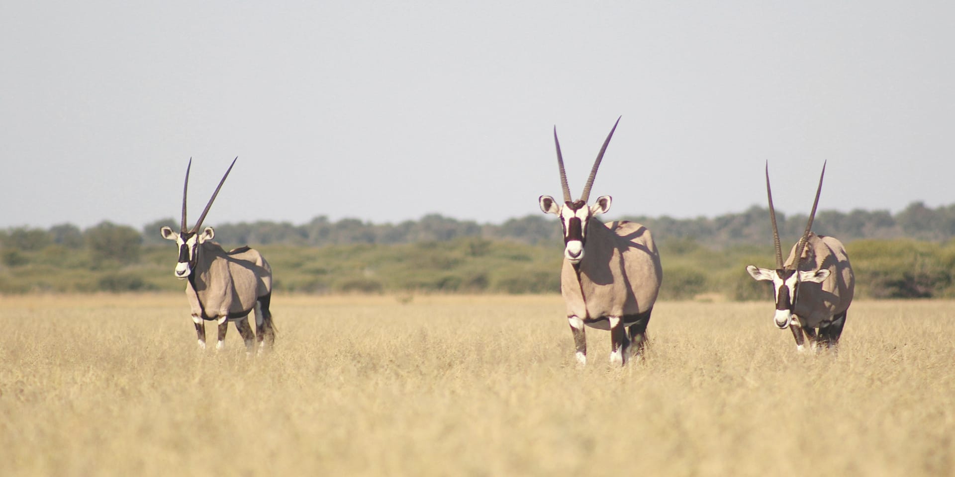 107461-BOT_20220927_AD_23