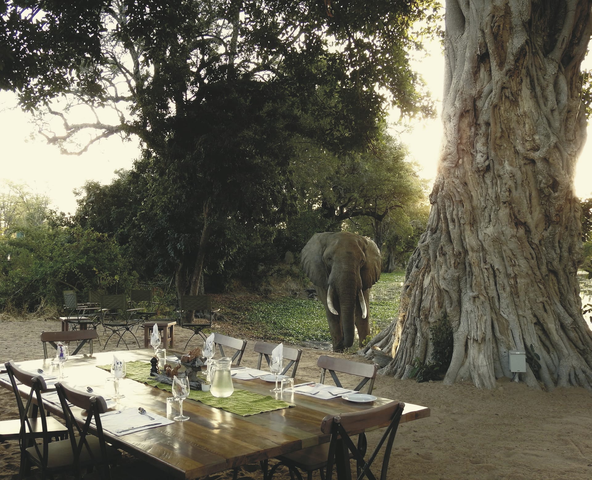 108568-ZIM_20221212_AD_34