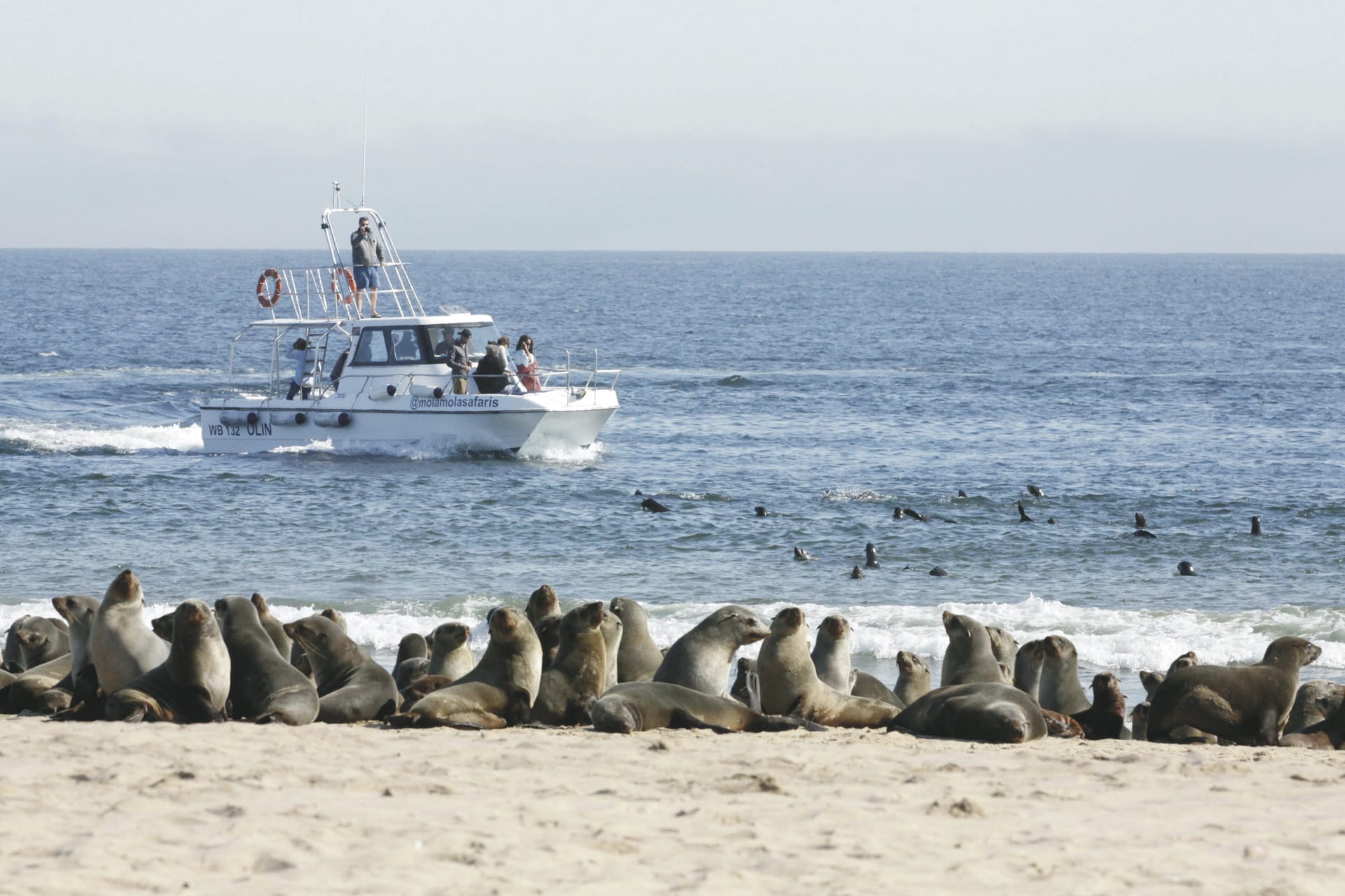 108661-NA_20221216_AD_5