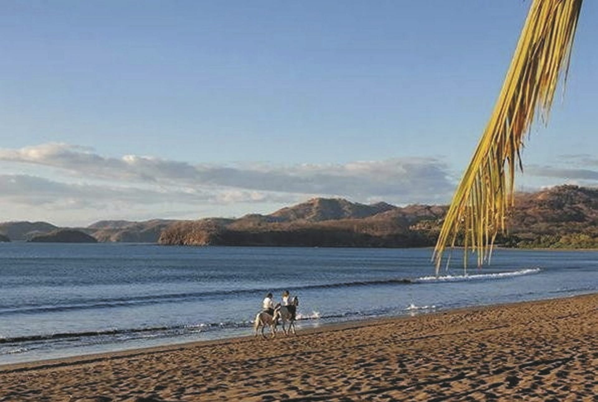 109942-SAM_CR_20211108_NH_5