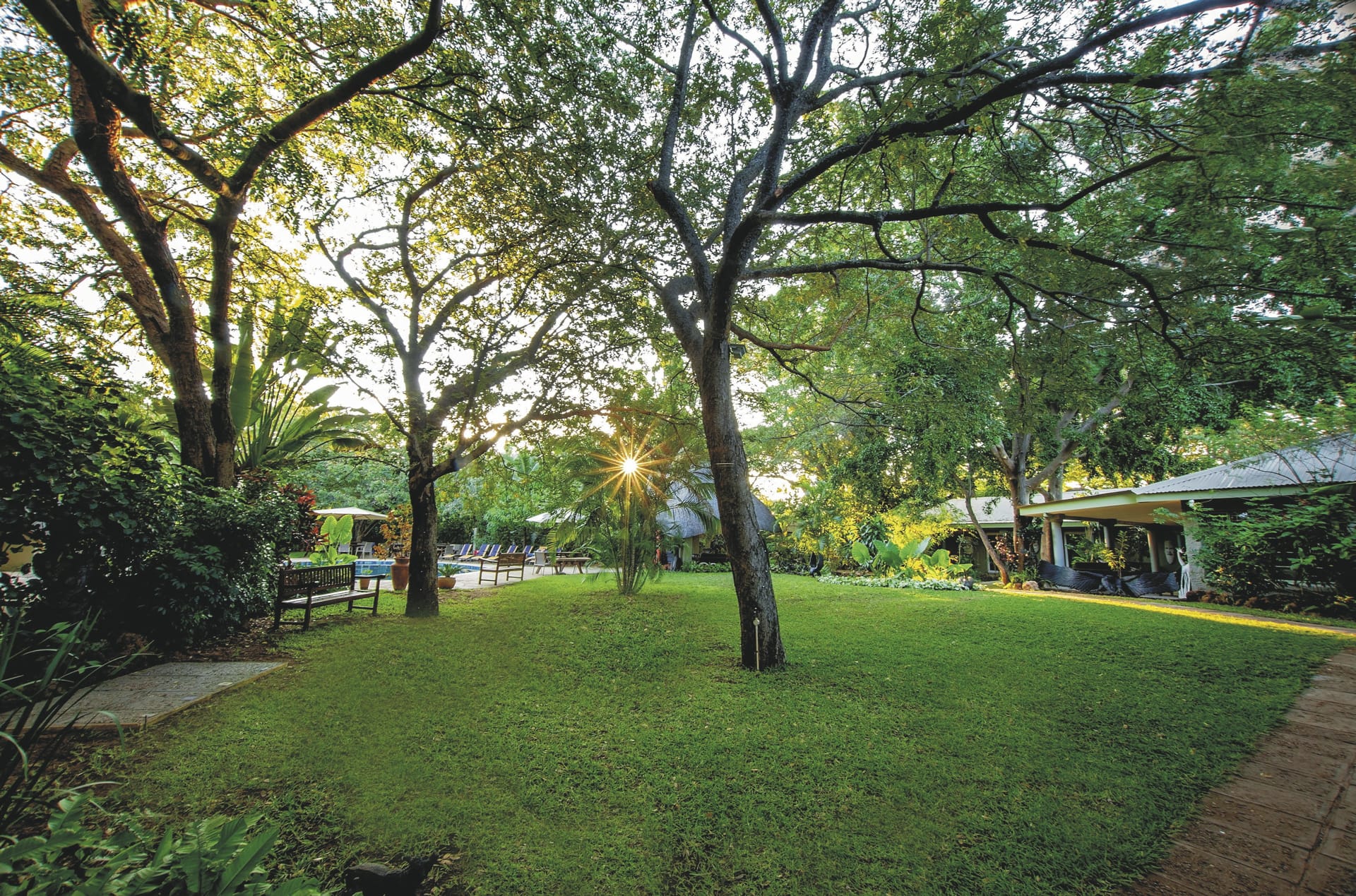 111417-ZIM_20230825_JR