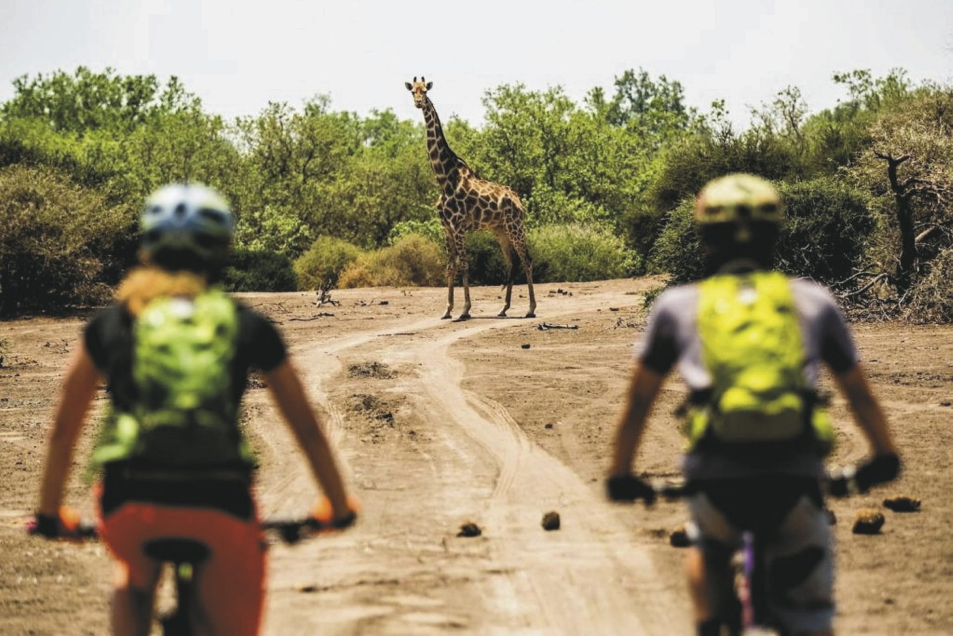 111424-BOT_20230825_JR_6