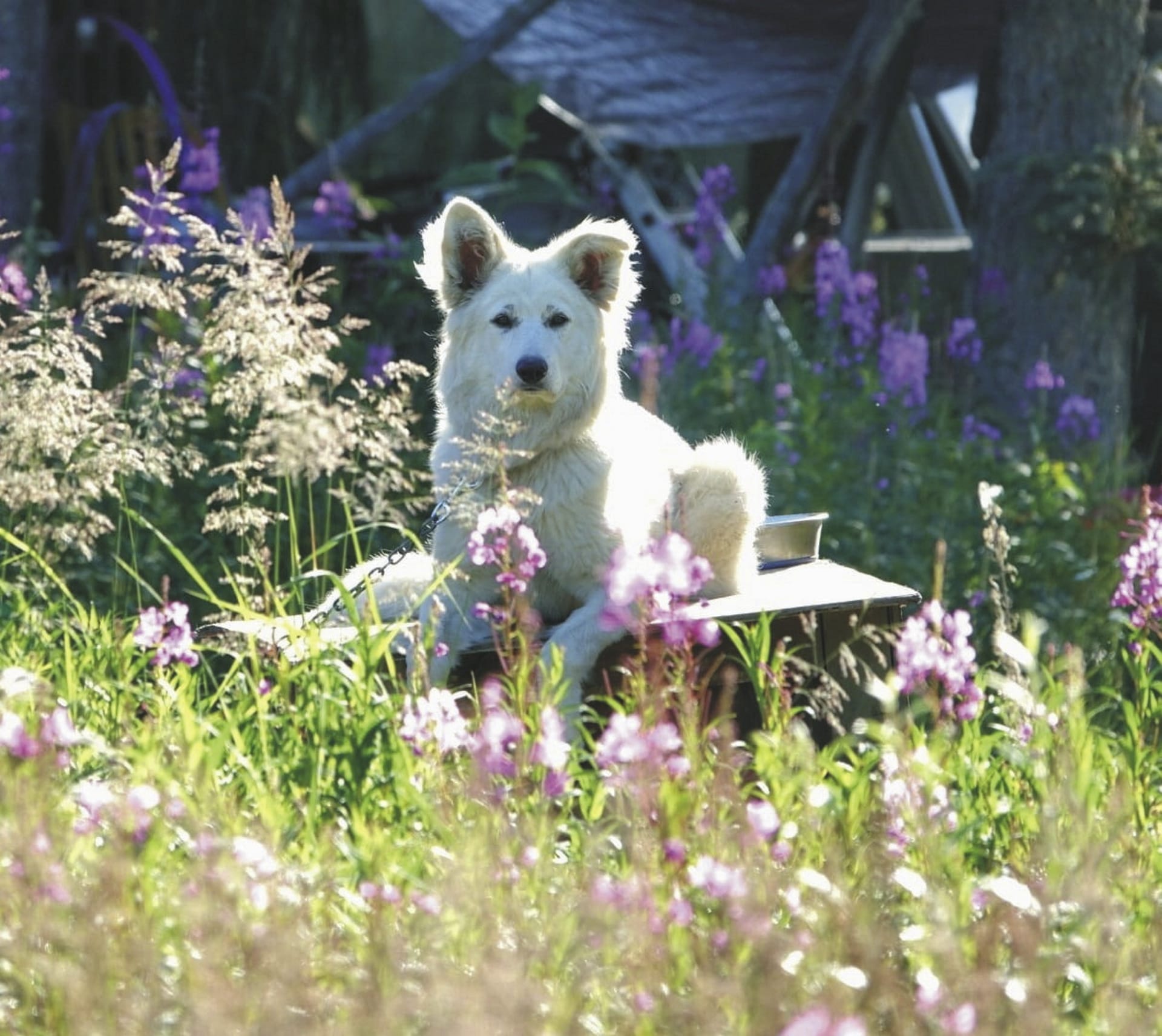 111849-USA_AK_20230831_JB