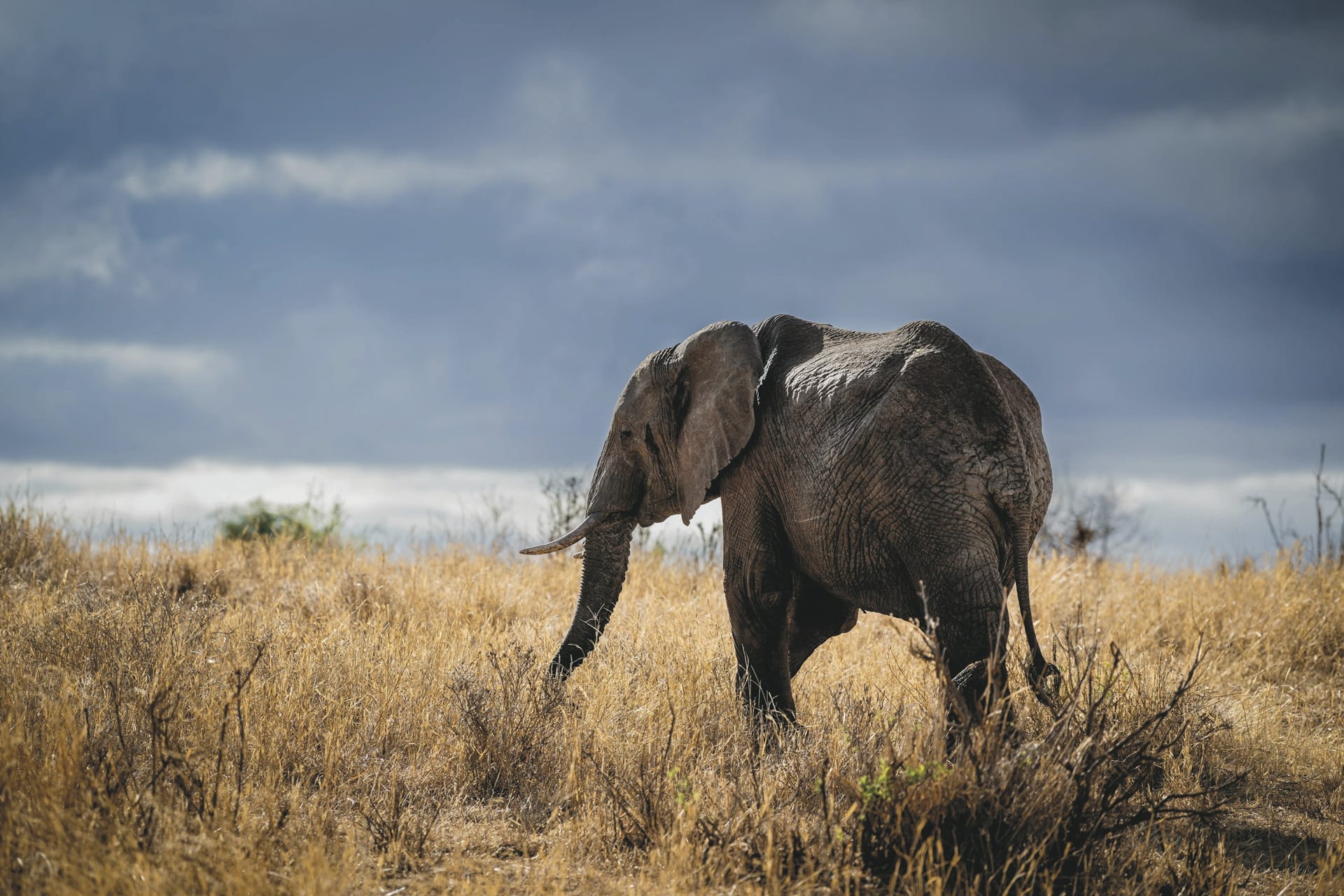 116318-TAZ_20240708_BI_5