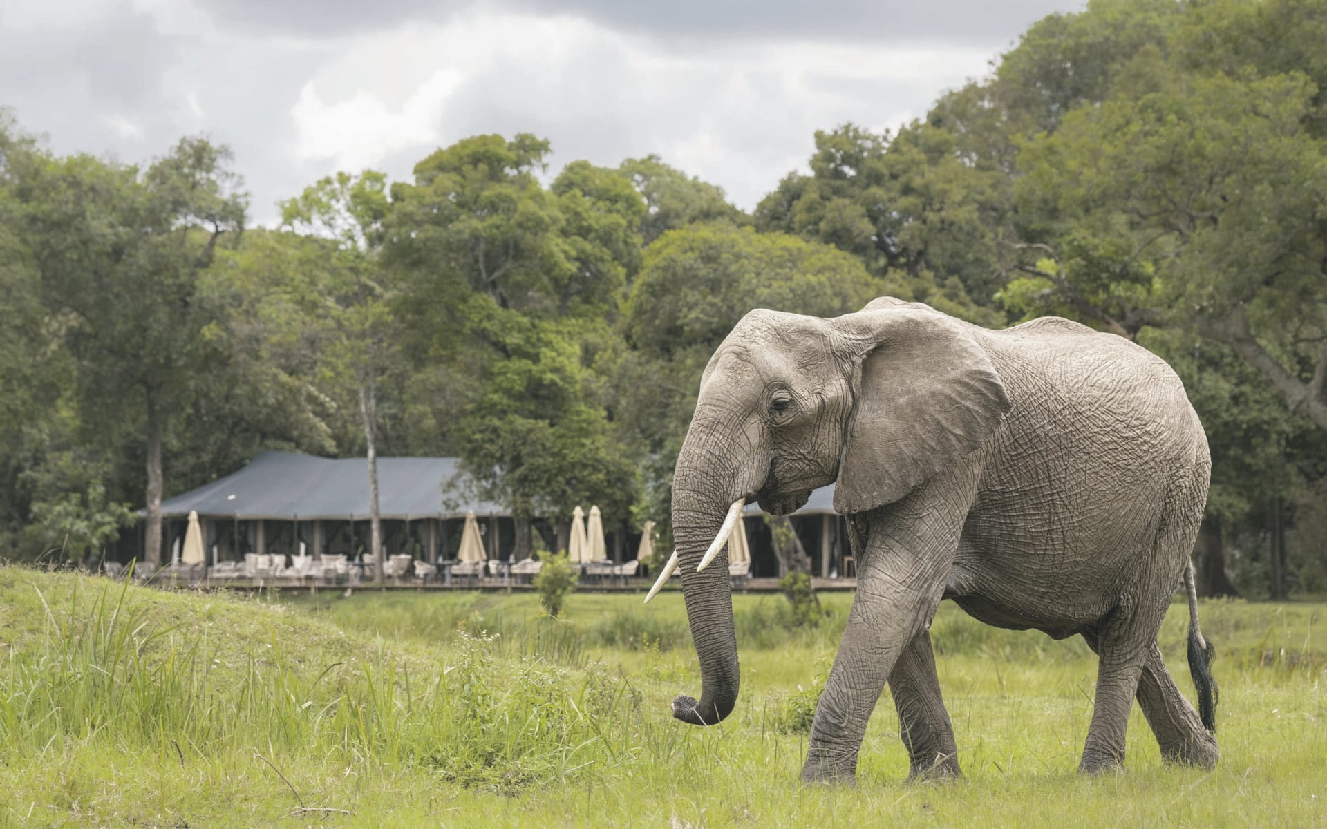 117544-KEN_20240916_BI_14