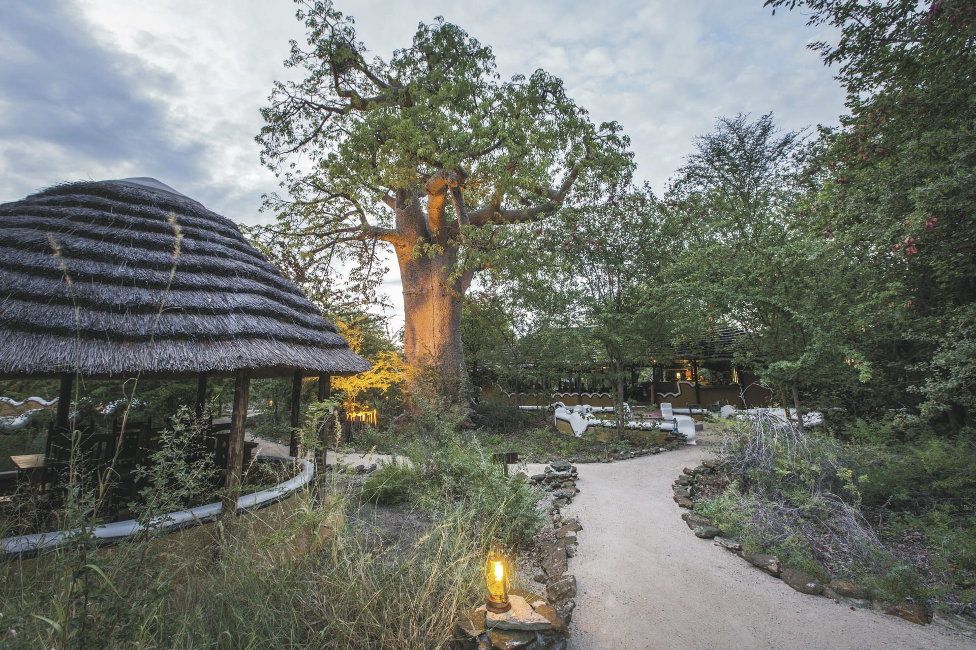 117650-BOT_20240923_JR_3