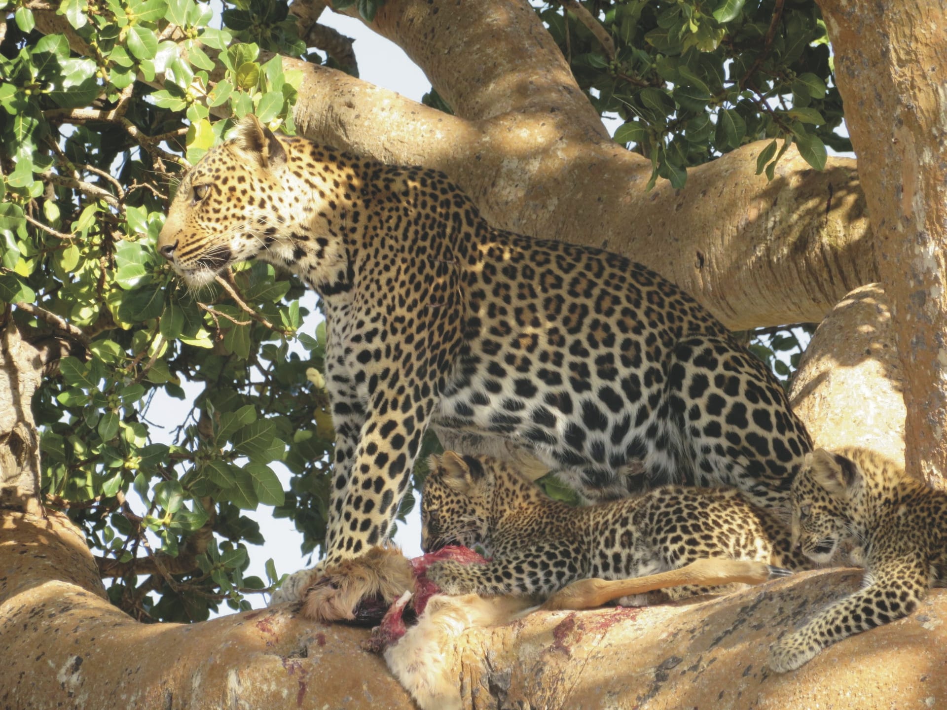 117713-TAZ_20240930_BI_12