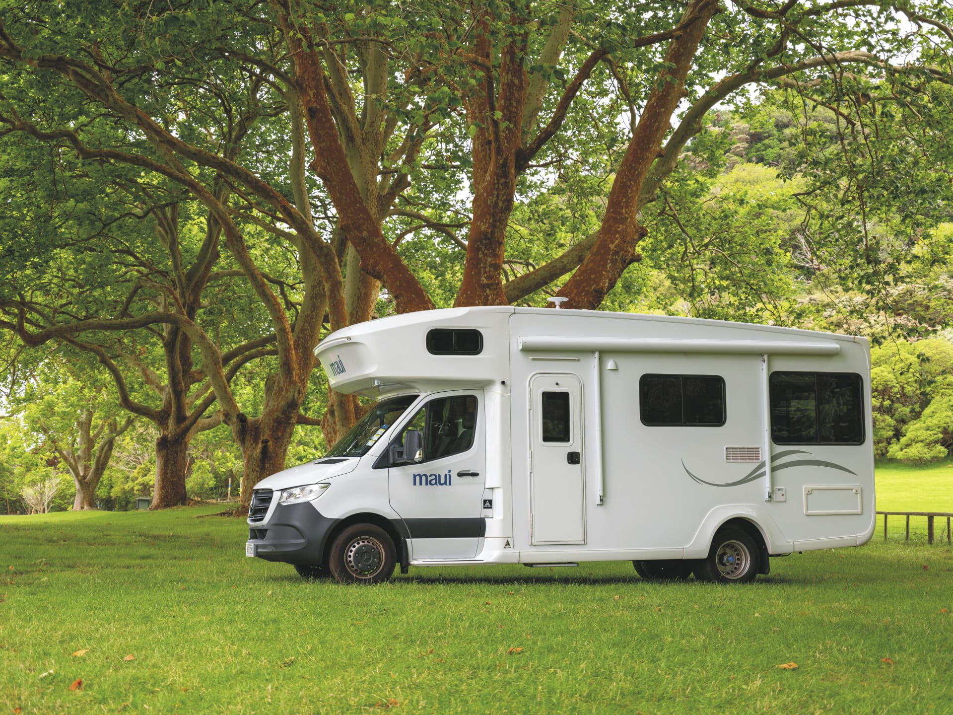 118164-NZL_TRA_20241024_BR_20