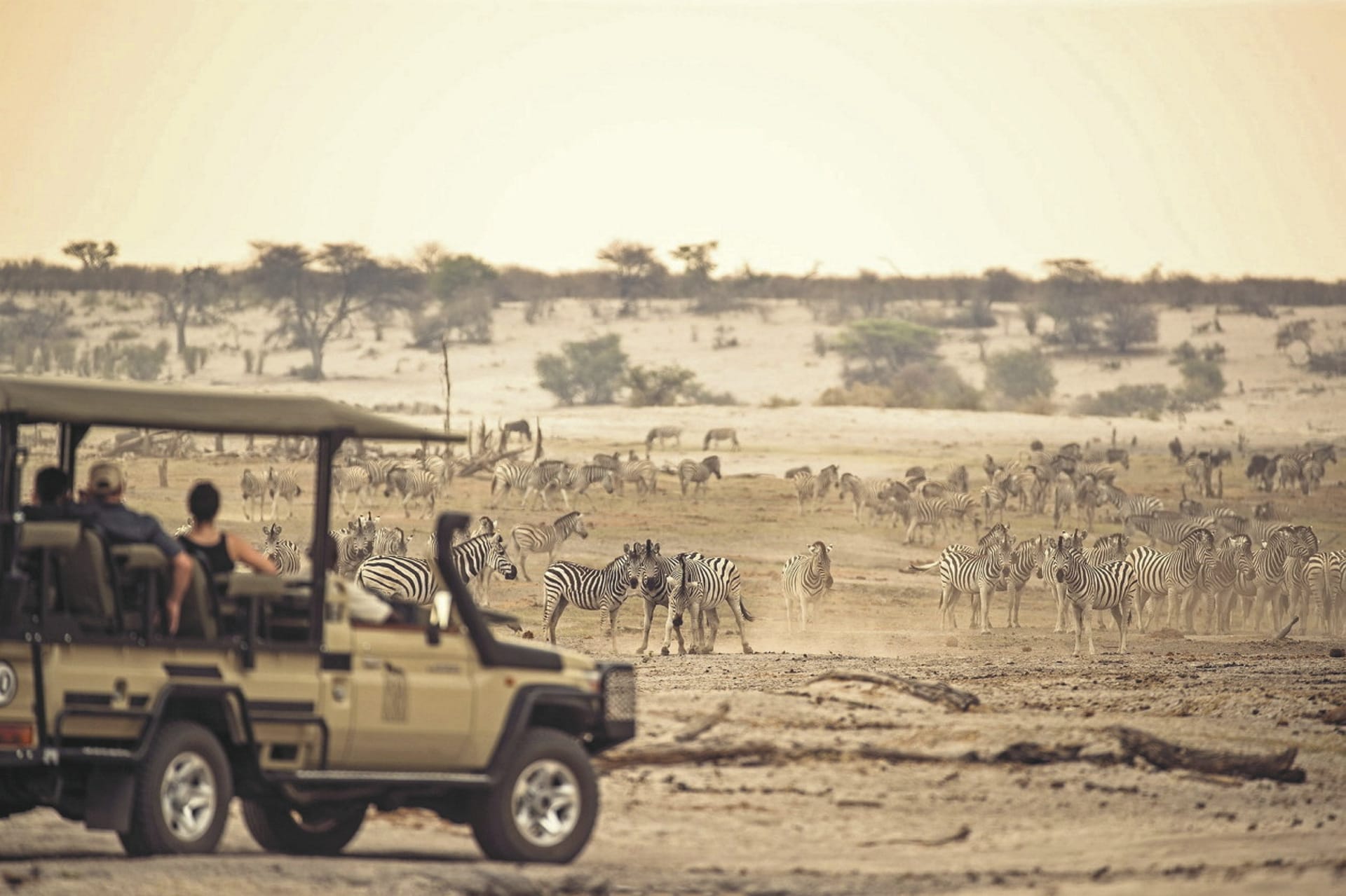 118205-BOT_20241028_JR_2