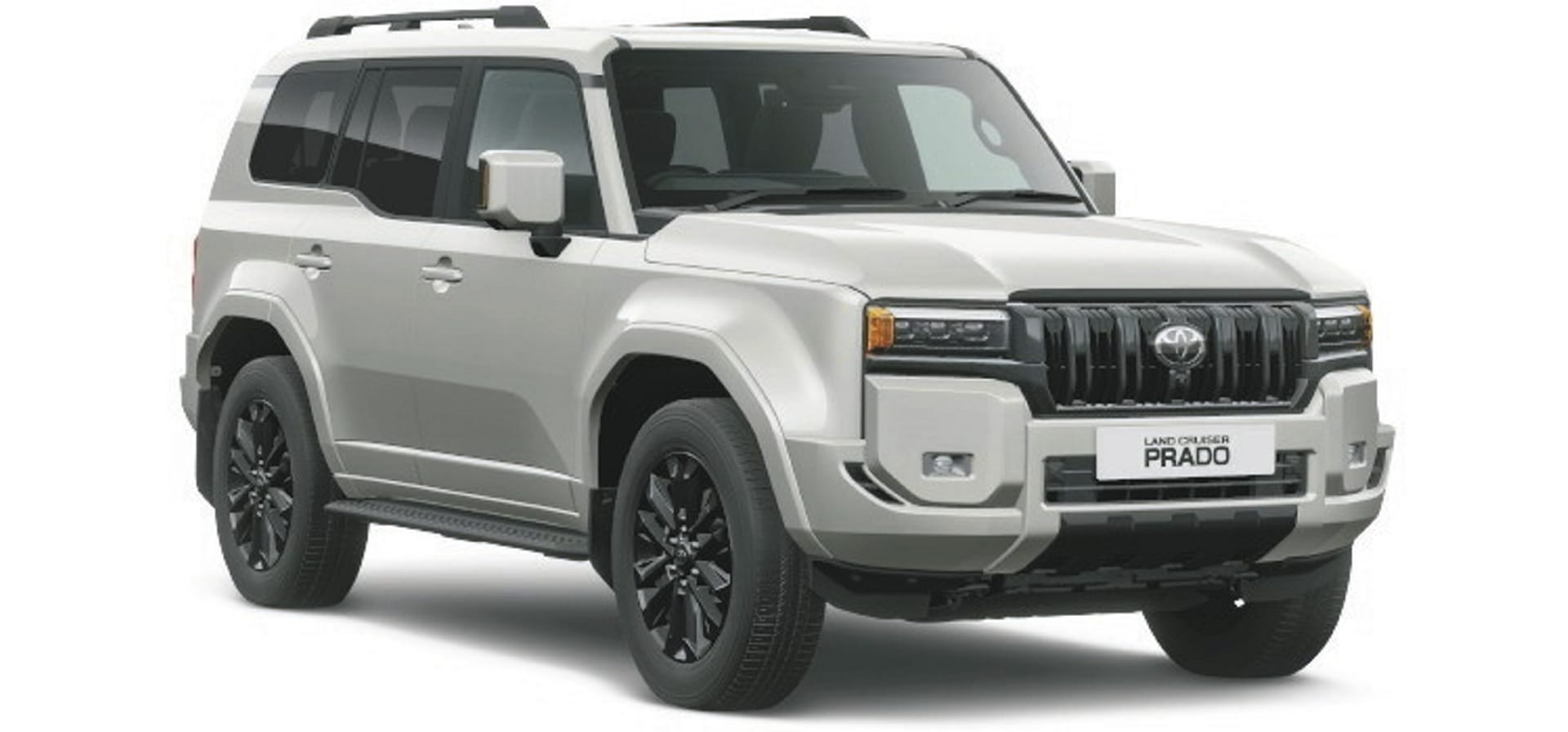 118469-NZL_TRA_20241104_BR_1