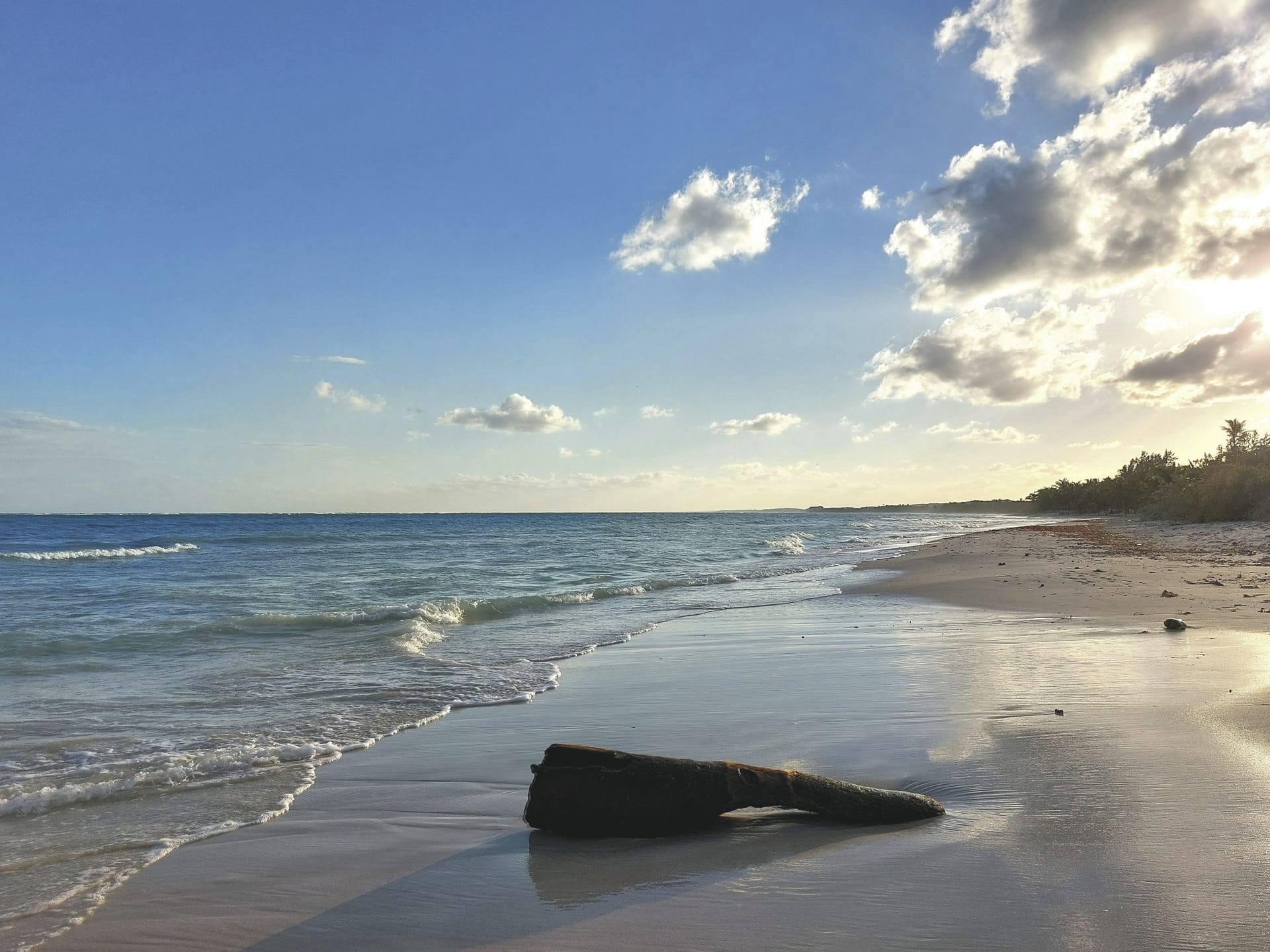 119468-MIT_MEX_20250116_HG_15