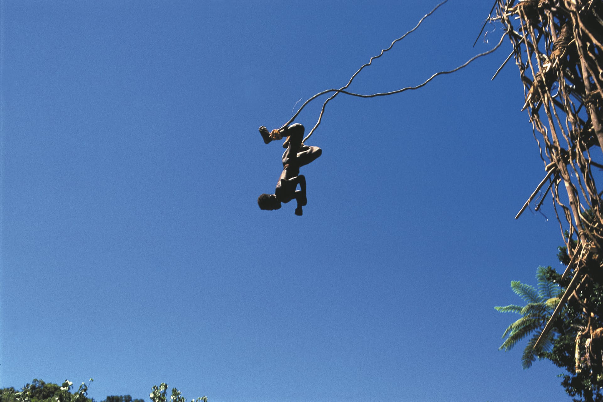 17031-SPC_VLI_070_20071015_SS