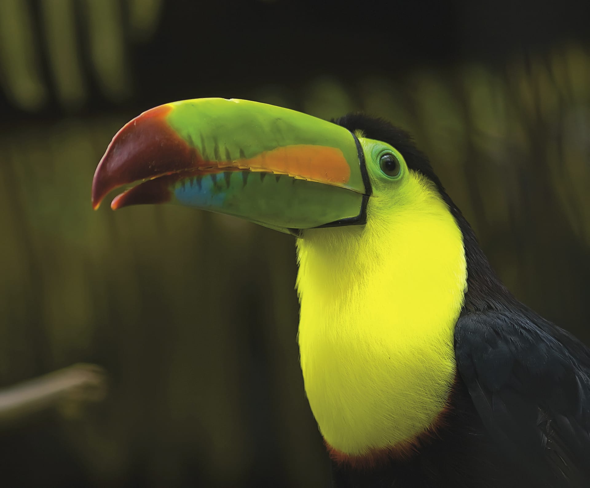 28289-MAM_CR_006_20140722_KA