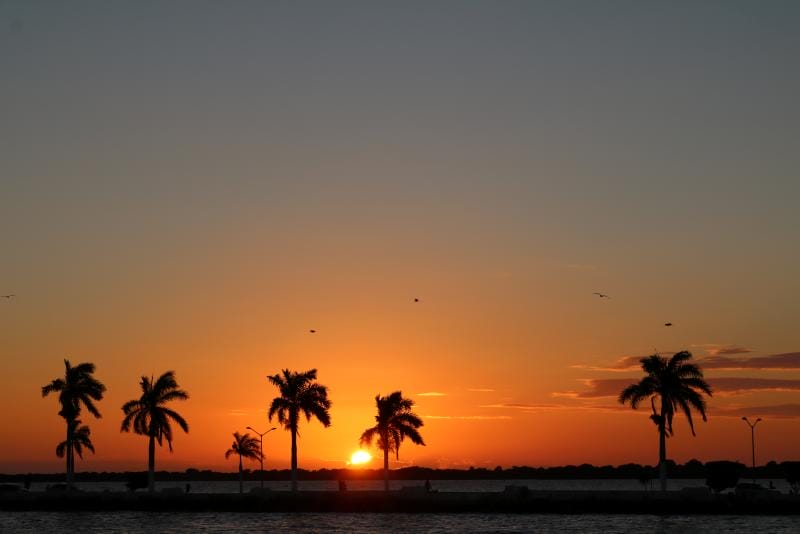 34109-MAM_MX_146_20161210_KA