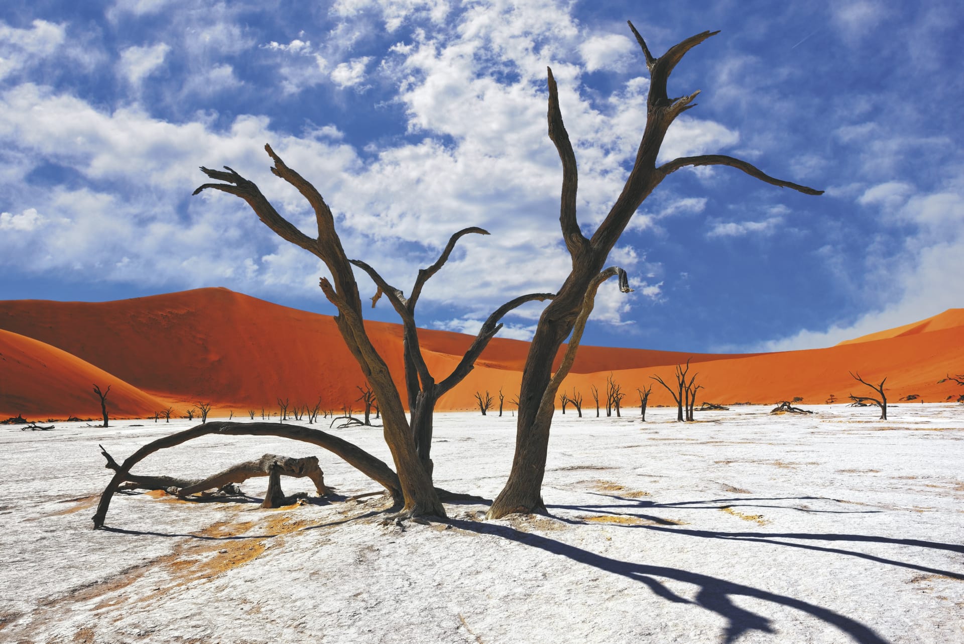 34466-AFR_NA_002_20170621_KA