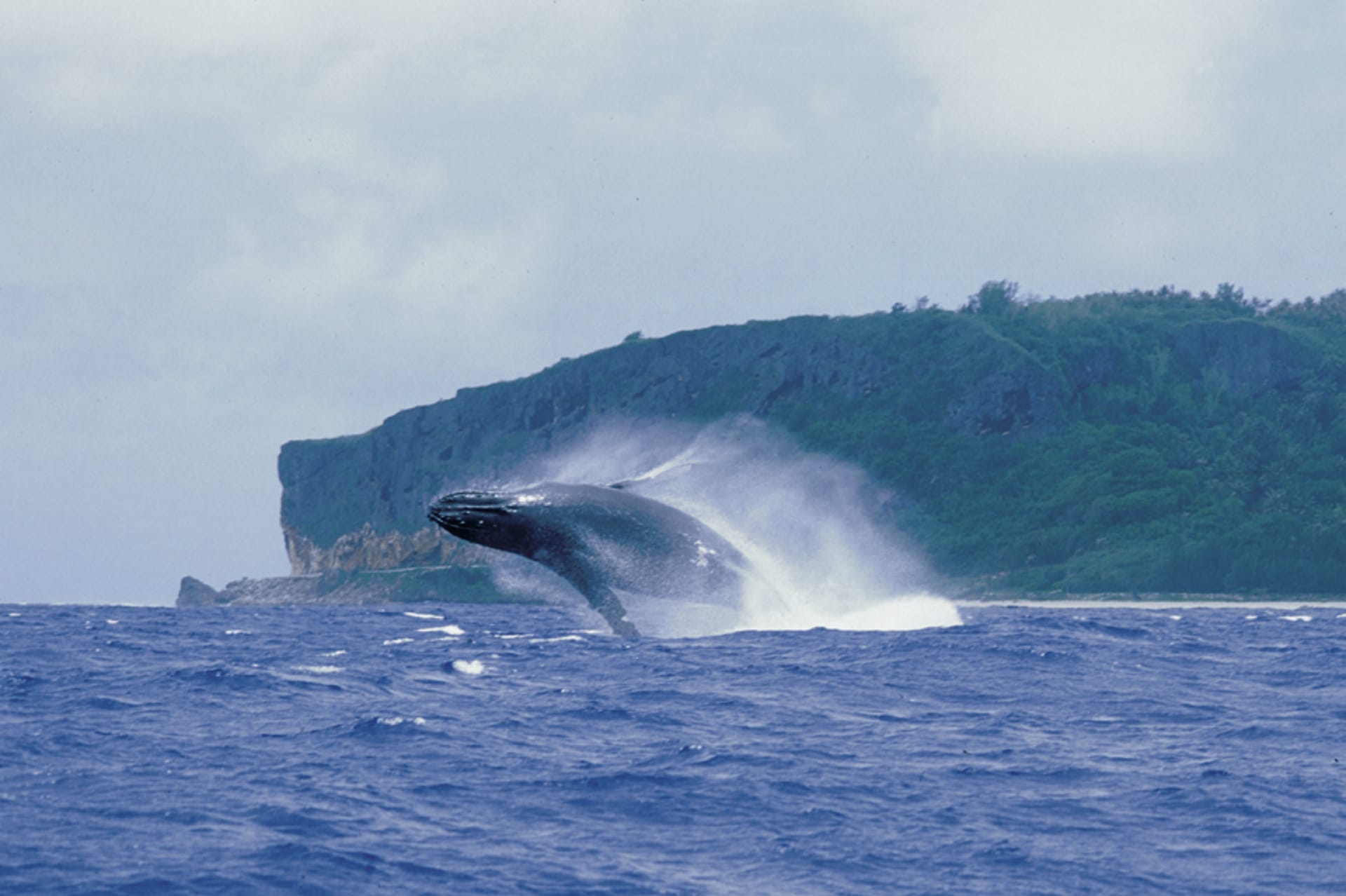 34899-SPC_PPT_162_20101008_SS