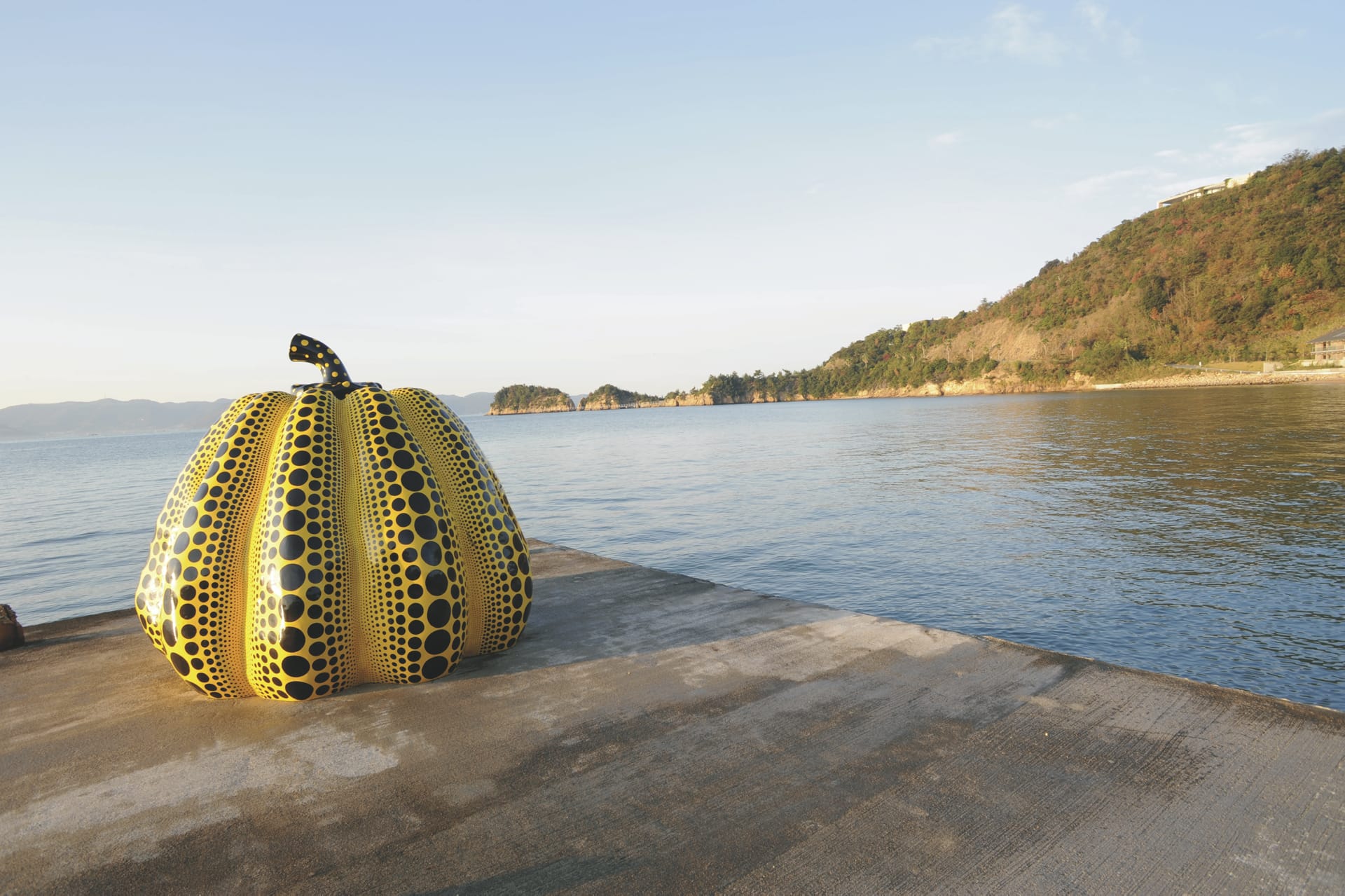 35222-ASN_JP_030_20171026_KA