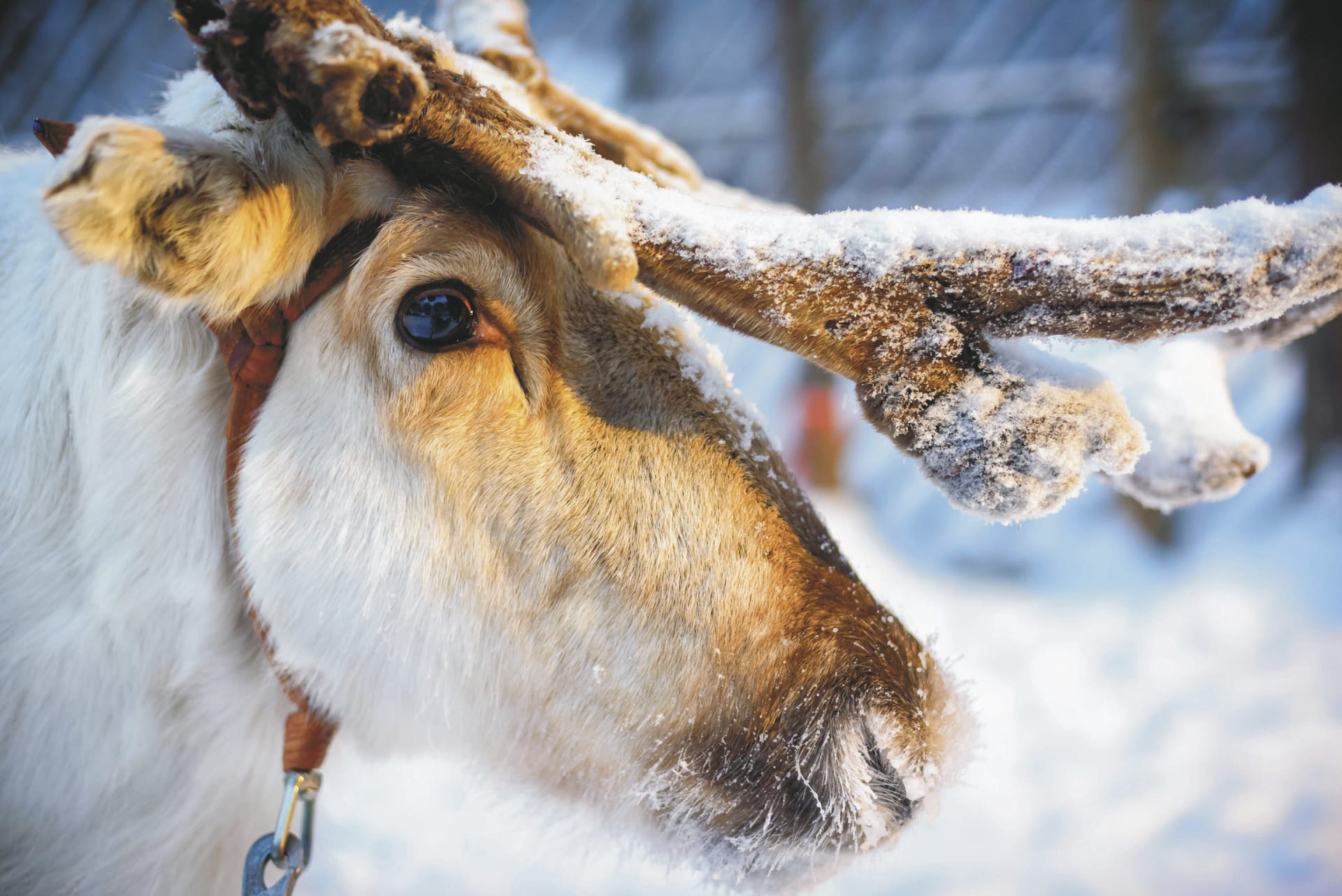 38759-EUR_FI_20200321_JS_2