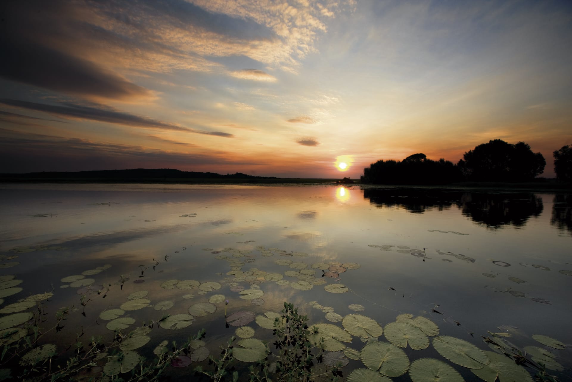 39676-AUS_NT_008_20110919_IvB