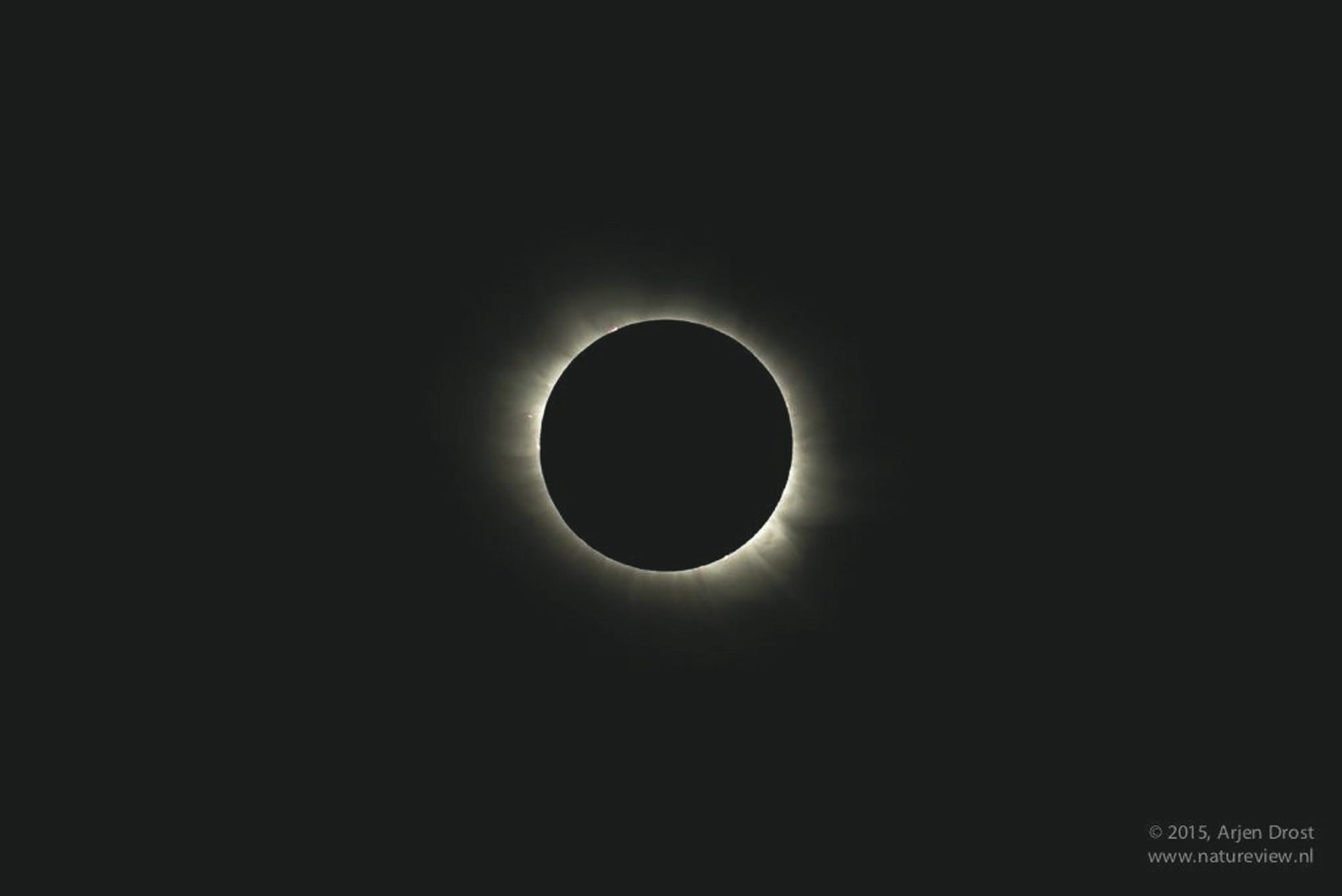 41925-KFT_KF_20241108_GW_8