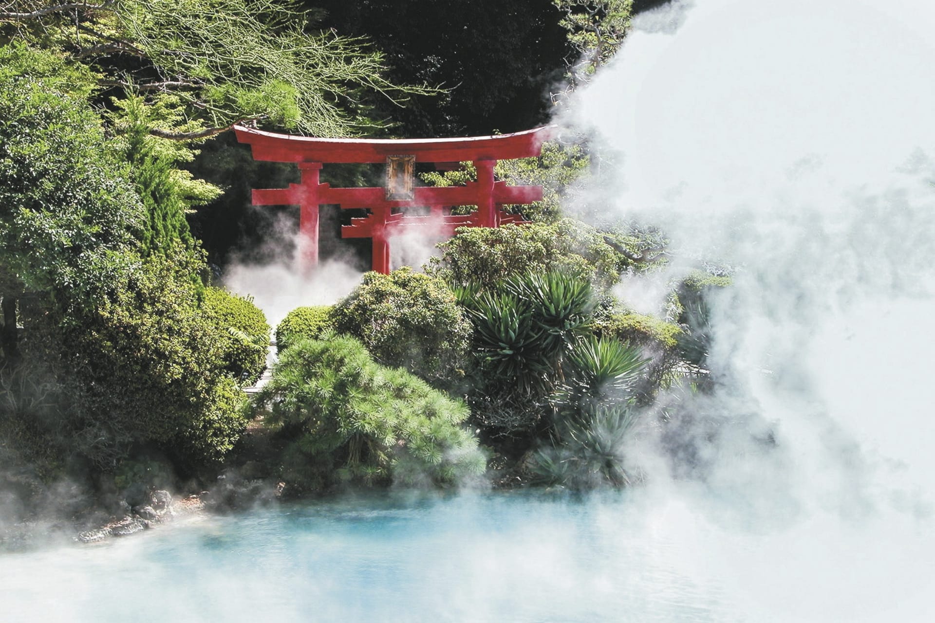 42001-ASI_JAP_20241125_JL_10