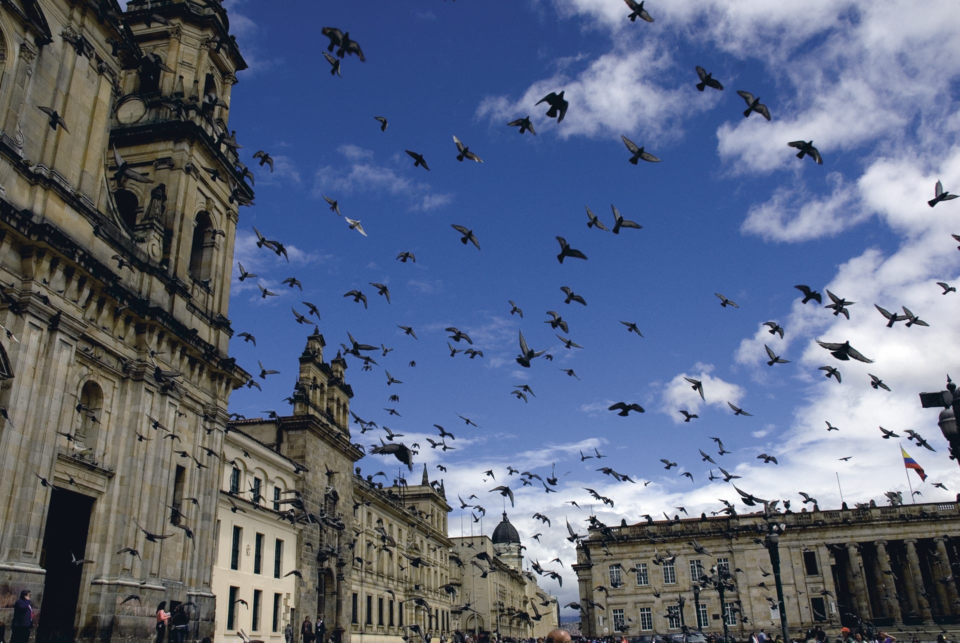 42207-SAM_CO_054_20120622_PP