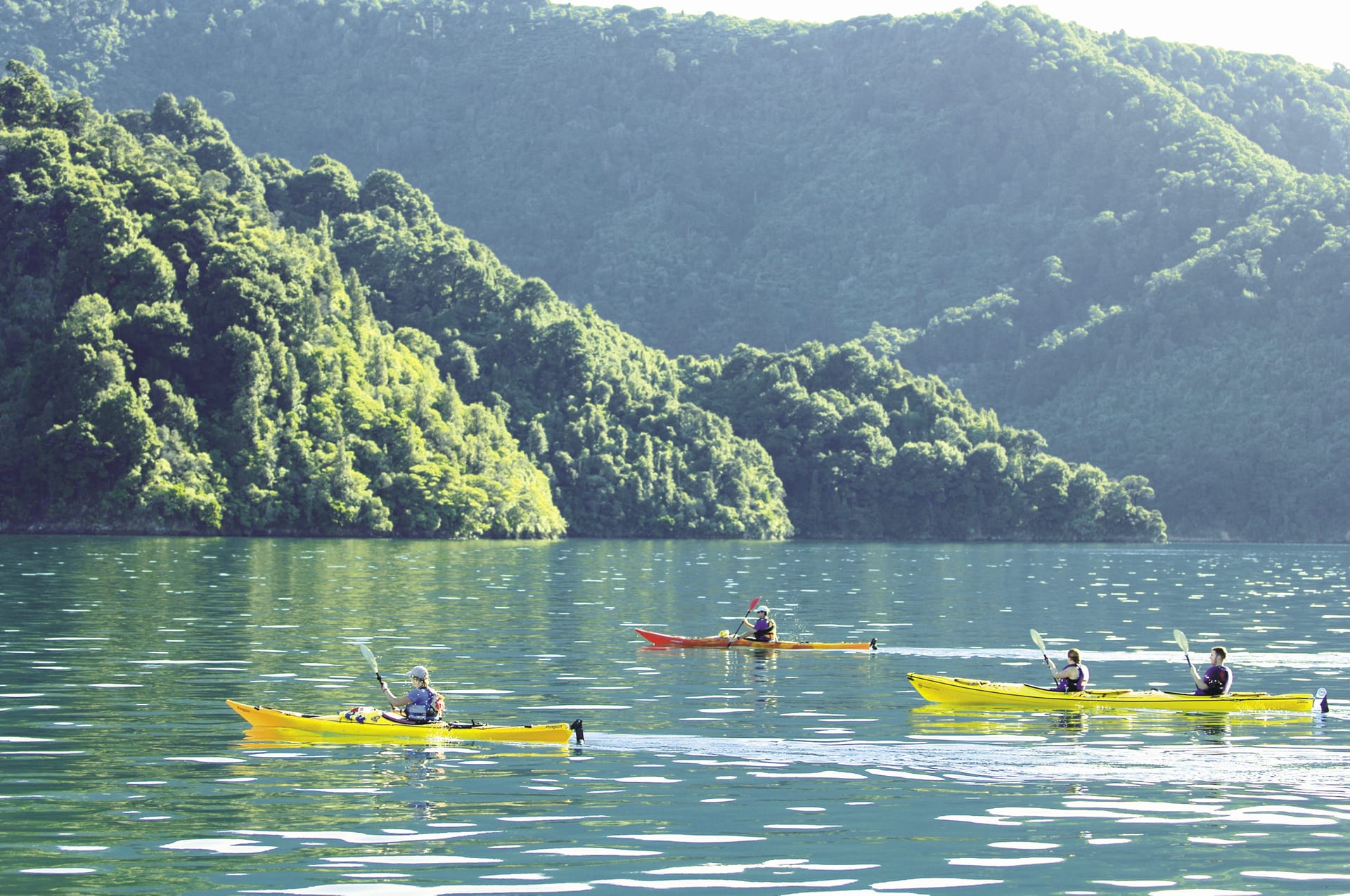 424-NZL_SIS_138_20070302_BR