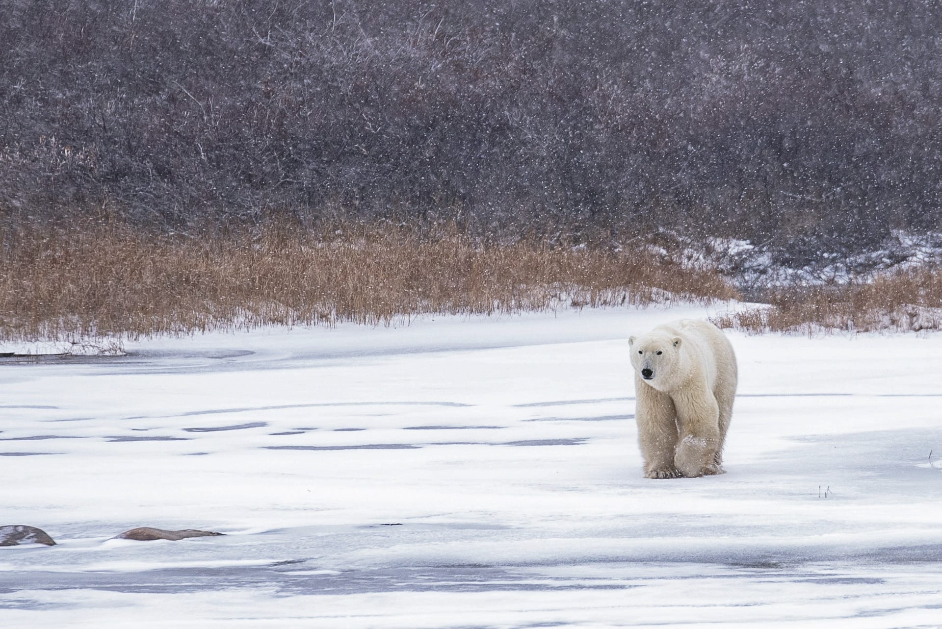 42565-KAN_MB_20250422_JB_5_4