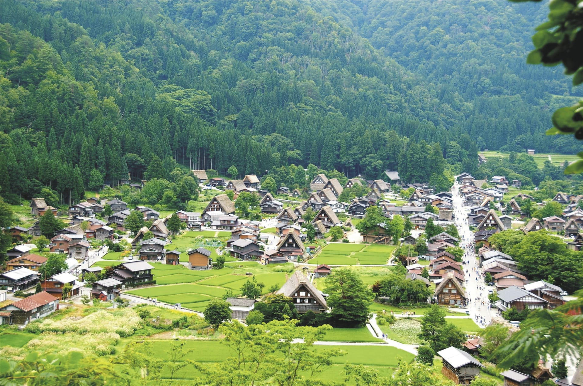 42741-ASI_JAP_20250528_JR_17