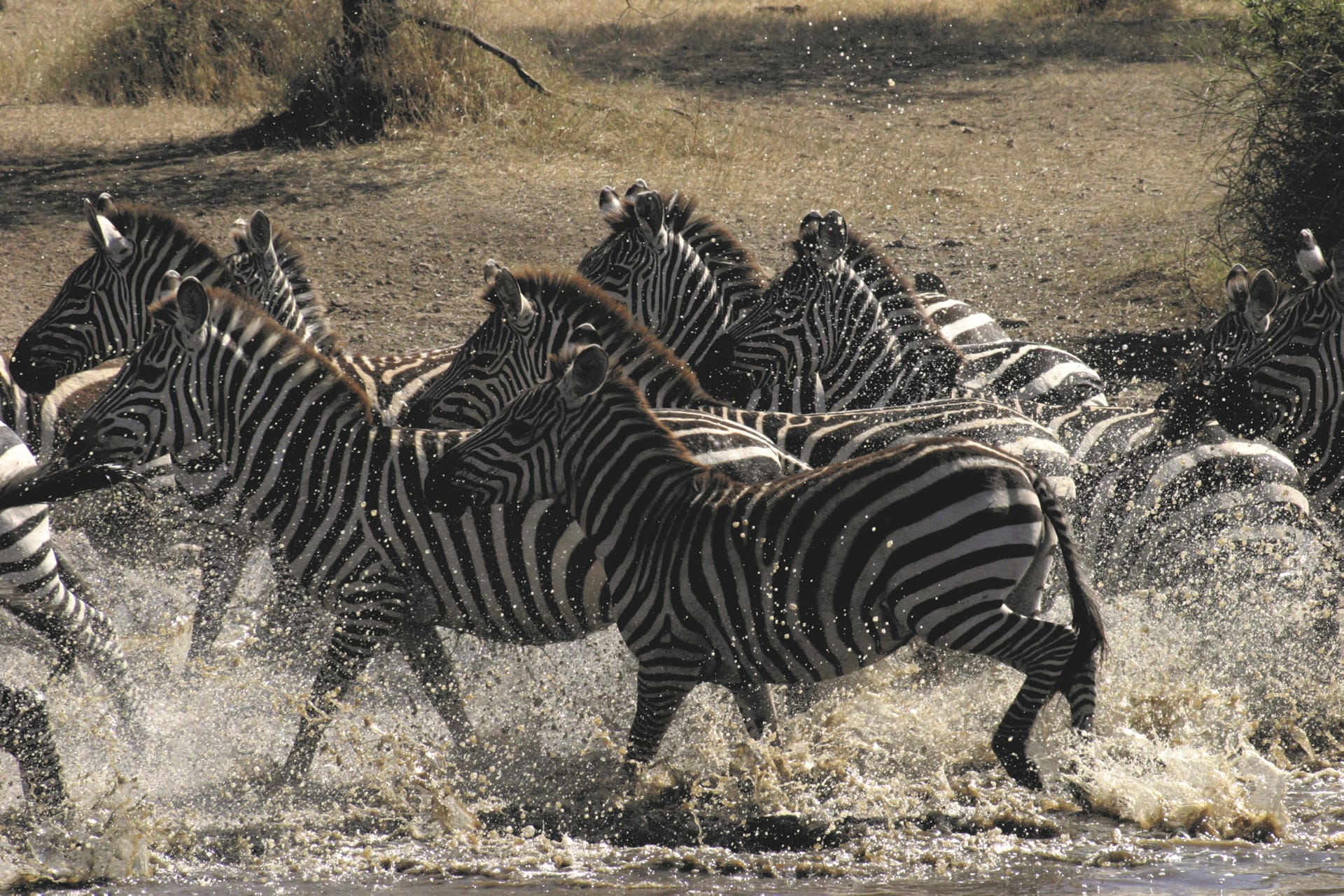 42998-TAZ_REG_198_20120719_VL