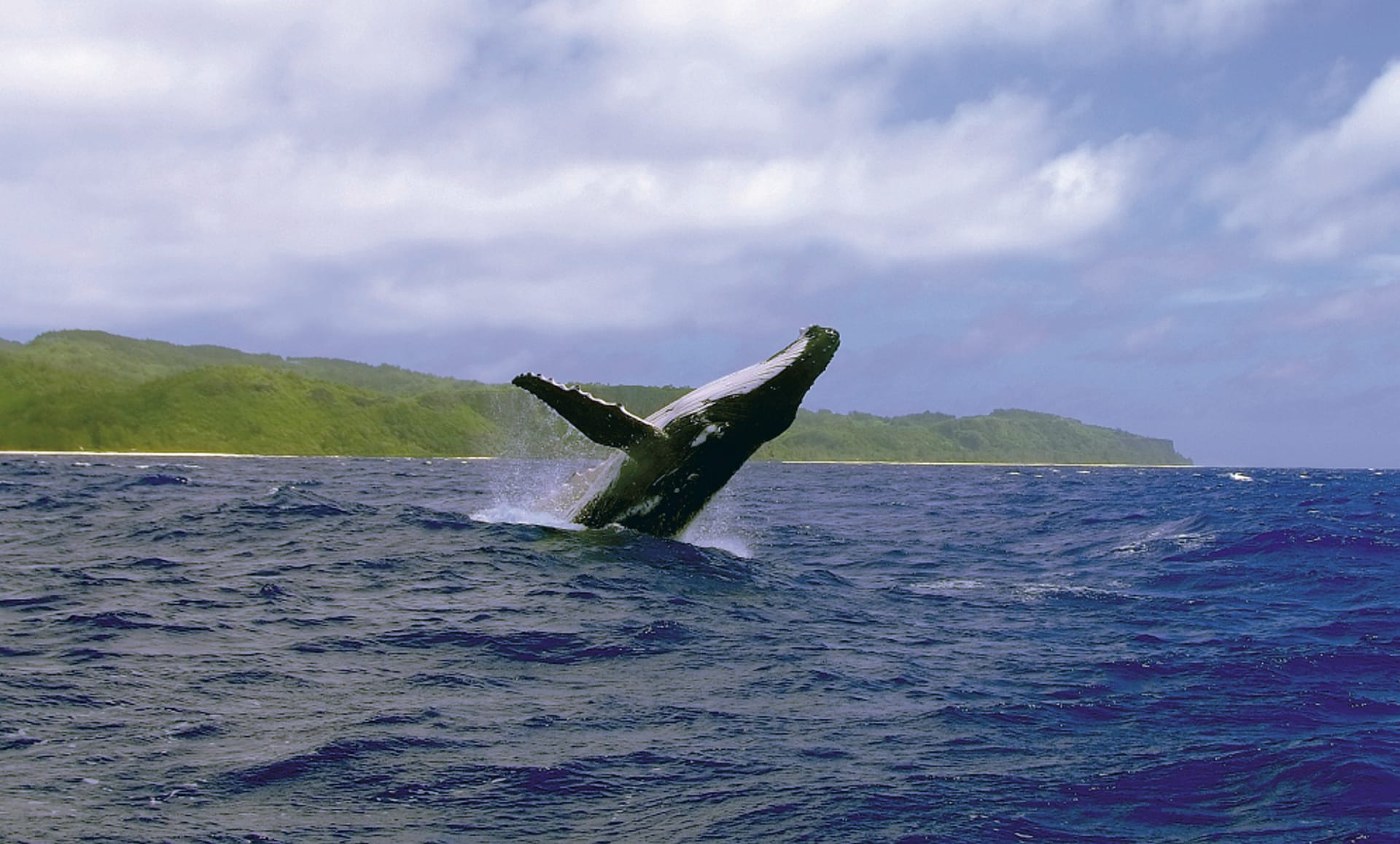 43999-SPC_PPT_684_20120812_PP