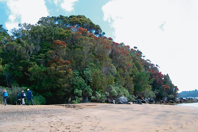 452-NZL_STI_208_20070308_BR