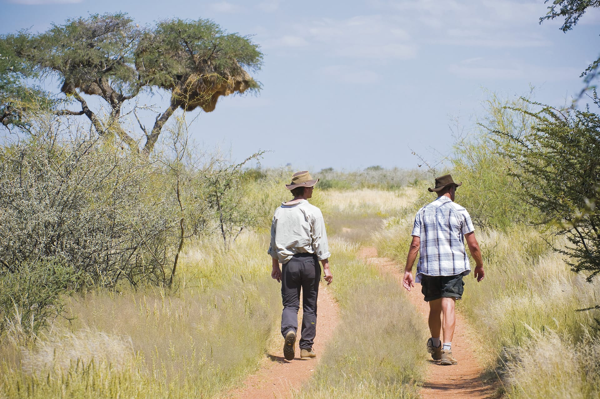 56608-NA_REG_018_20140901_AD