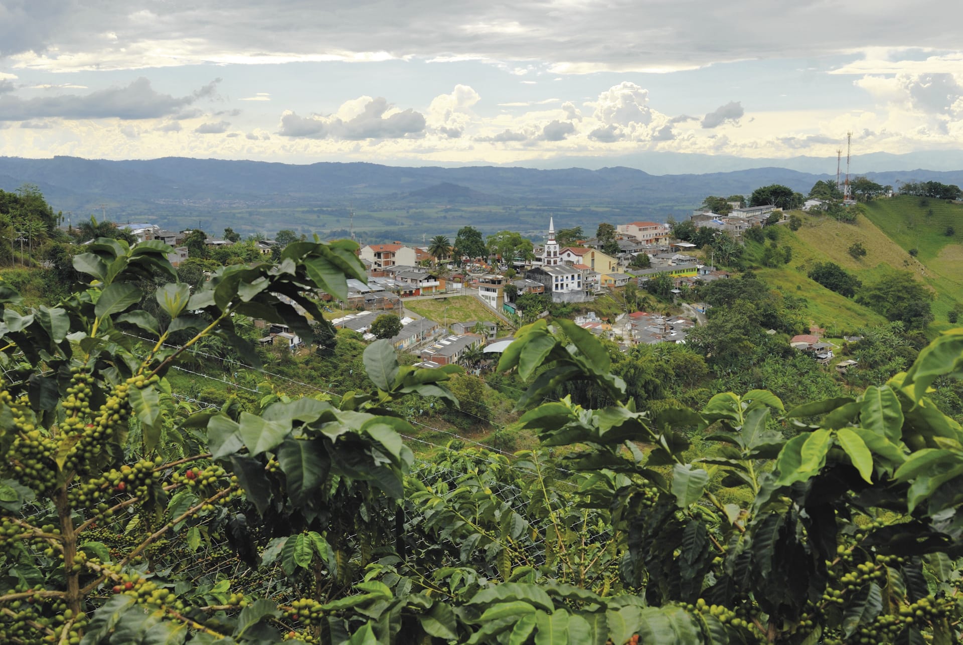 57436-SAM_CO_004_20140930_ss