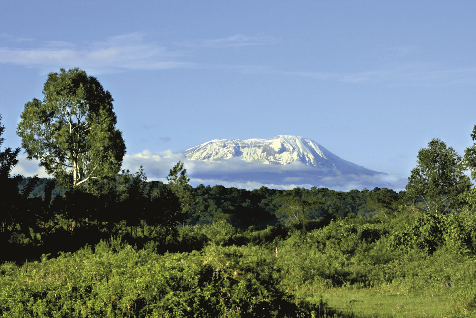 61177-TAZ_REG_292_20150616_DIA