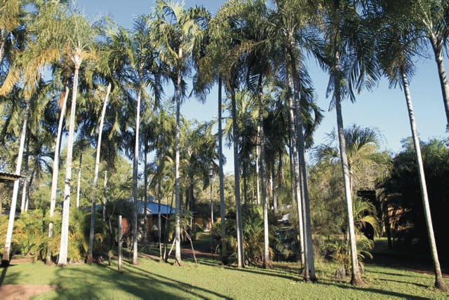 71048-AUS_NT_007_20160926_BR