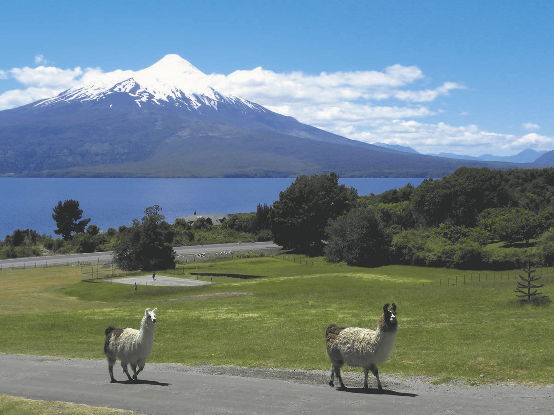 71467-SAM_CHI_760_20161005_PP