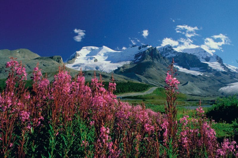 72813-USA_CA_065_20080923_KA