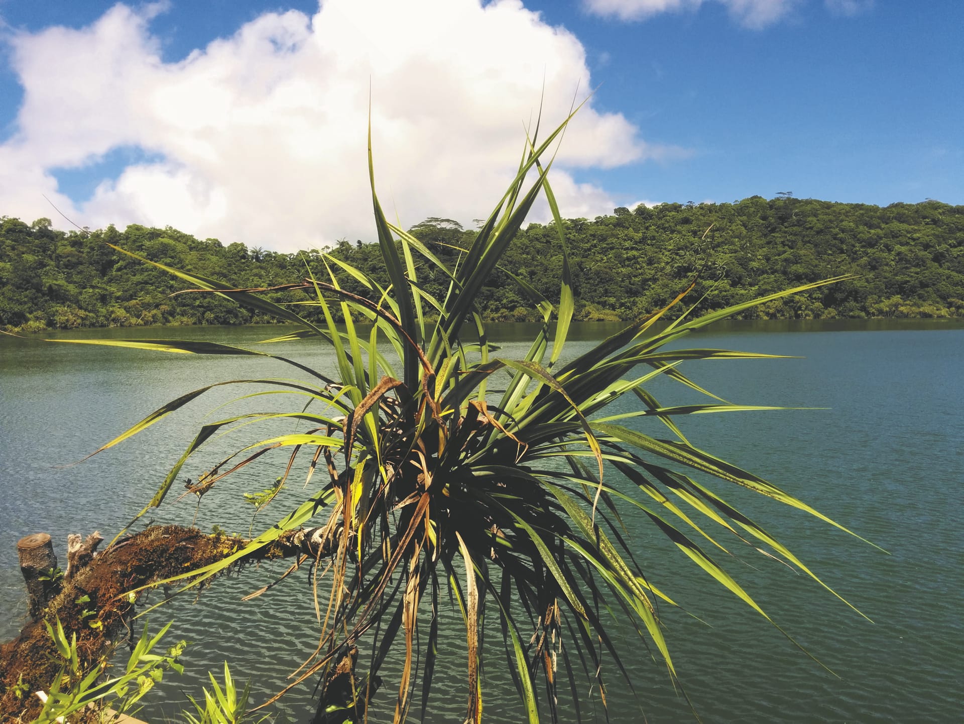 77723-SPC_APW_508_20170924_PP