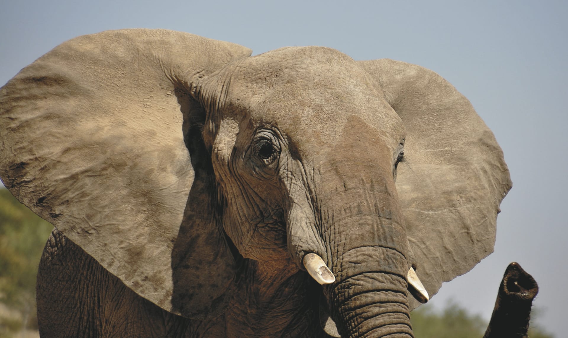 84431-NA_20180709_AD_1