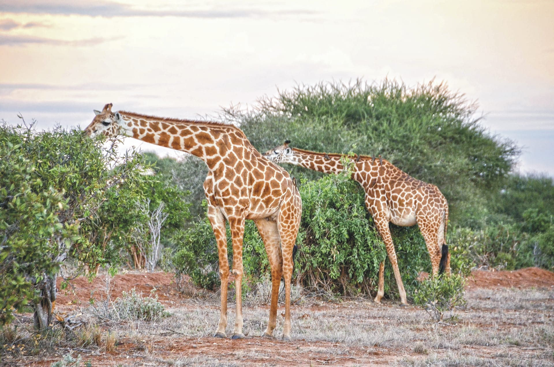 85290-KEN_20180801_SF_12